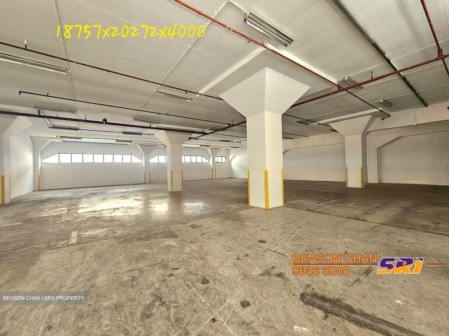 Pan-i Complex (D14), Warehouse #456364901